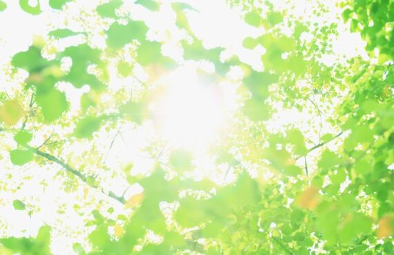 ニキビ跡 でお悩みの方が通うエステサロン｜岡山市で年齢肌に強いエステティックサロンJEWEL。